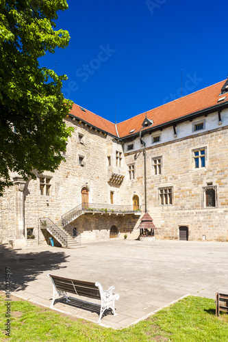 Budyne nad Ohri Palace, Czech Republic photo