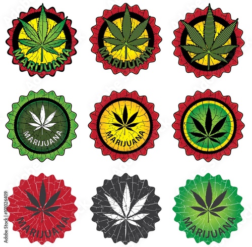 marijuana cannabis leaf vector illustration