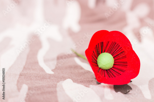 The red poppy is a symbol of Thailand Veterans Day