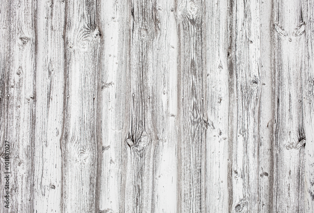 Wood pine plank white texture background Wood pine plank white texture background