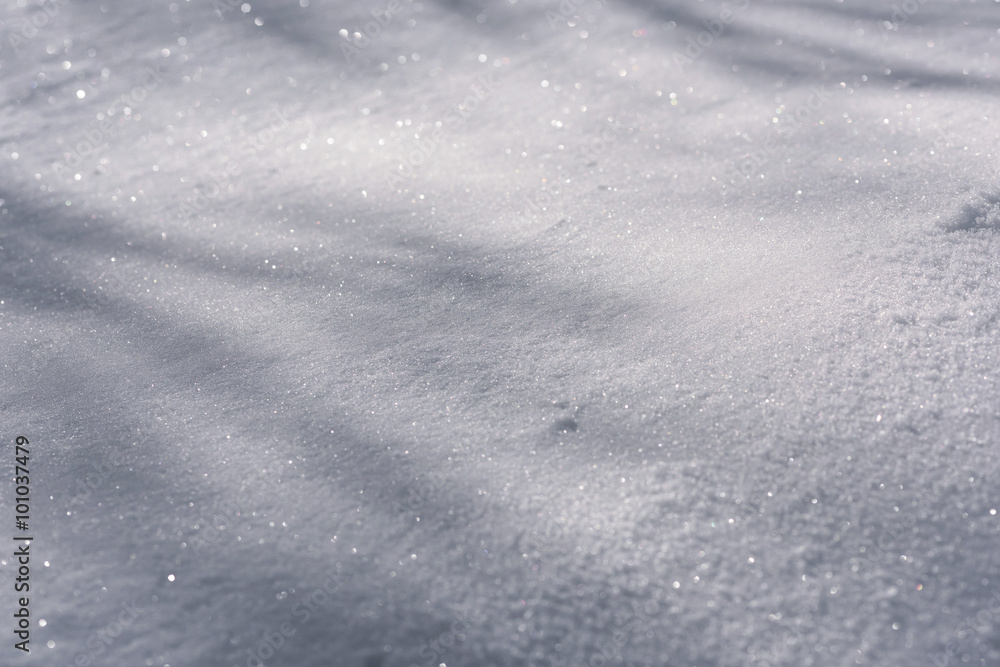 Obraz premium White snow surface in a forest