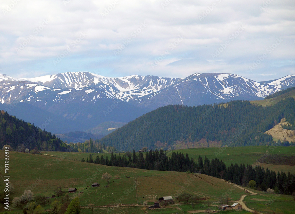 Beautiful Carpathian mountains.