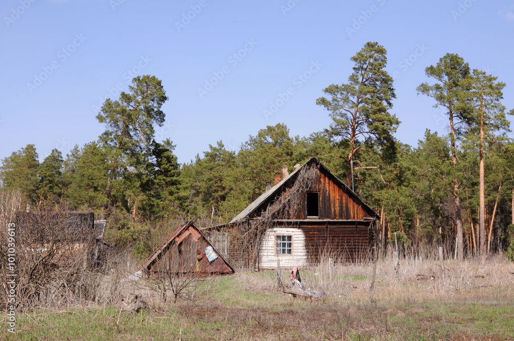 Fototapeta premium Abandoned wooden house