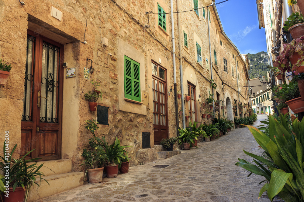 Cobbled street with her pots and plants decorating the houses entraces, Valldemossa, Mallorca, Spain.