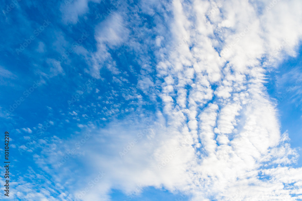 Fototapeta premium 夏の青空