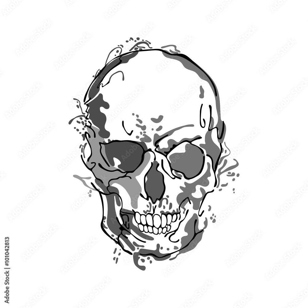 Skull. Splashes and drops of paint. Isolated object on white background. Skull. Splashes and drops of paint. Isolated object on white background.