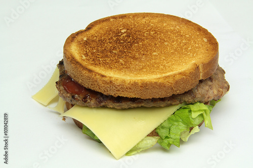 burger 25012016