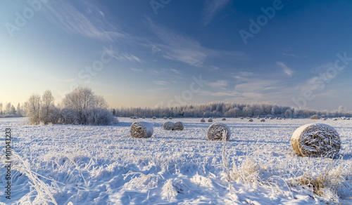 Snow covered hayfield