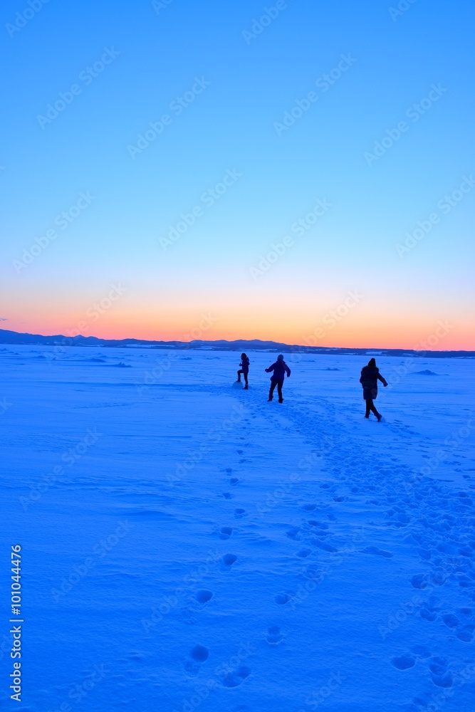 Fototapeta premium 流氷
