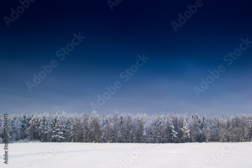 winter  nature tree © vinkirill