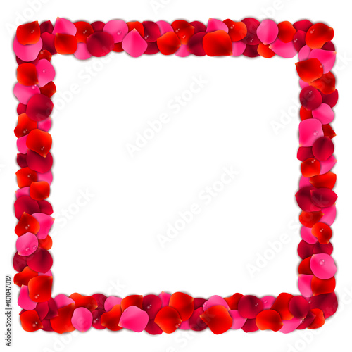 Fototapeta Naklejka Na Ścianę i Meble -  Rose Petals Frame