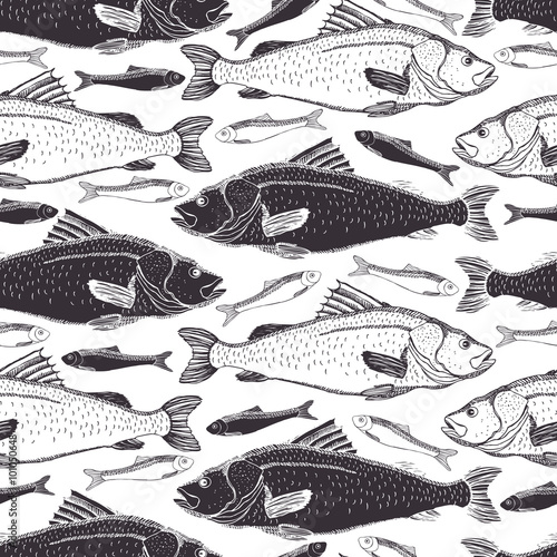 Fish background