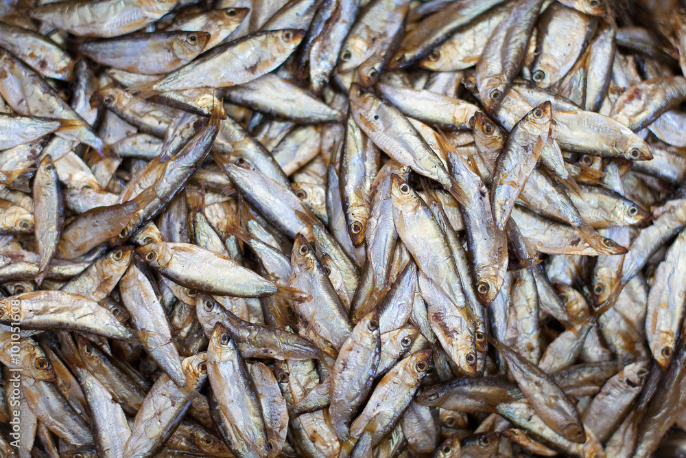 Cold smoked fish. Lot of hot smoked fishes. Food Industry Cold smoked fish. Lot of hot smoked fishes. Food Industry