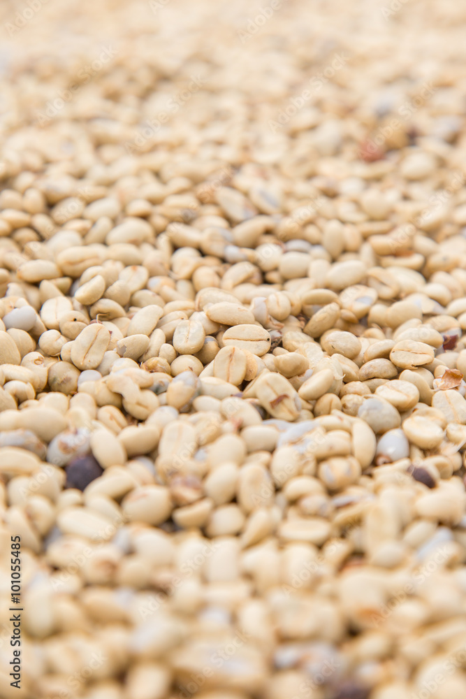un-roasted coffee beans heap with shallow depth of field un-roasted coffee beans heap with shallow depth of field