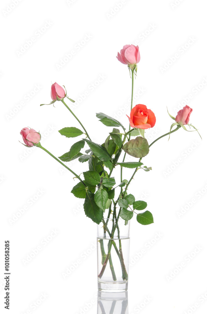 Obraz premium Beautiful bouquet of roses in a glass vase isolated on white bac