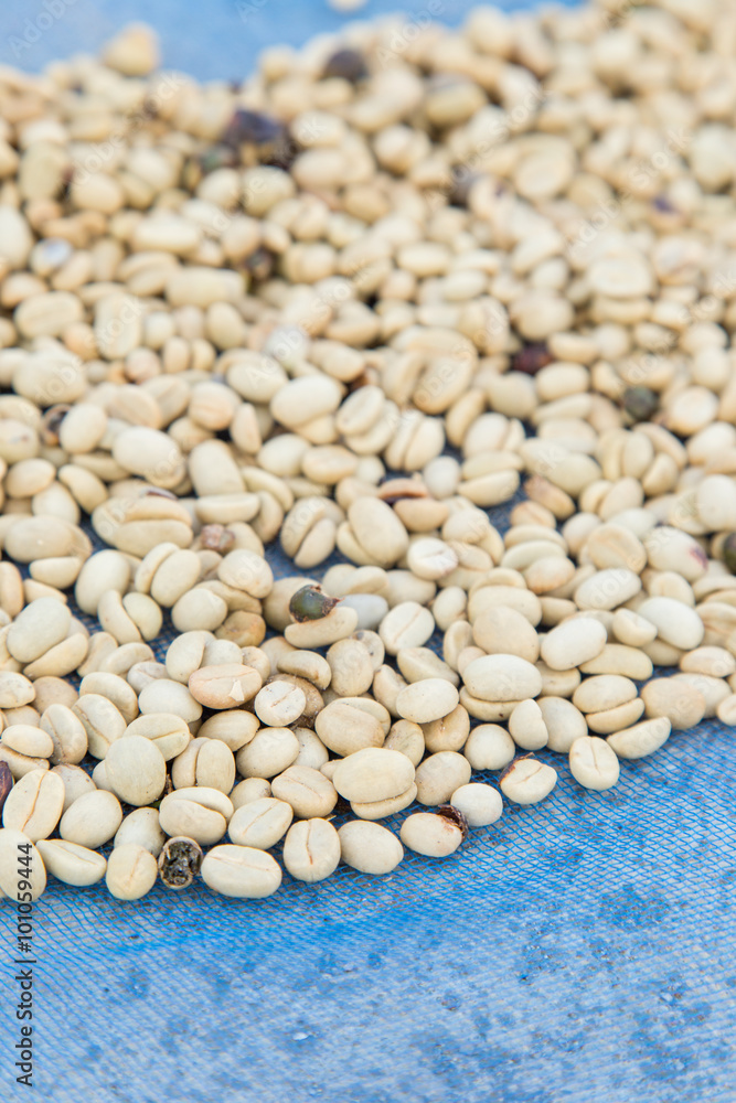 un-roasted coffee beans heap with shallow depth of field un-roasted coffee beans heap with shallow depth of field