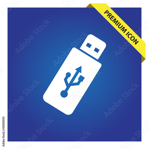 USB icon. Flash drive symbol