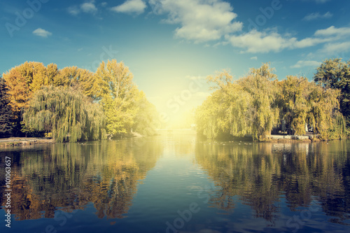 Fototapeta Naklejka Na Ścianę i Meble -  Autumn tree reflection in water lake at daytime