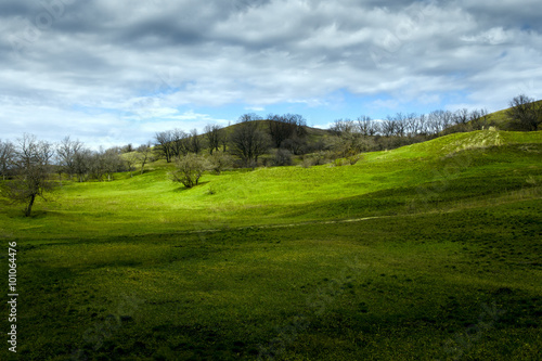 Beautiful nature landscape. Green tree hills and blue cloudy sky