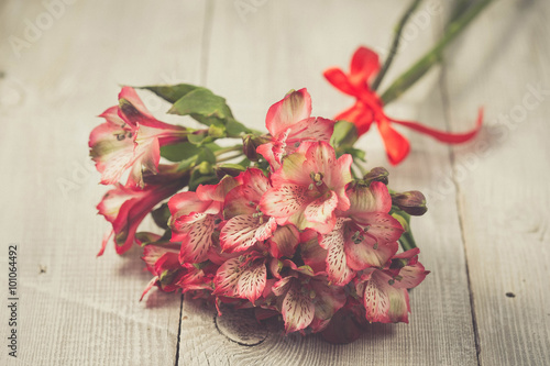 Pink alstromeria flowers photo