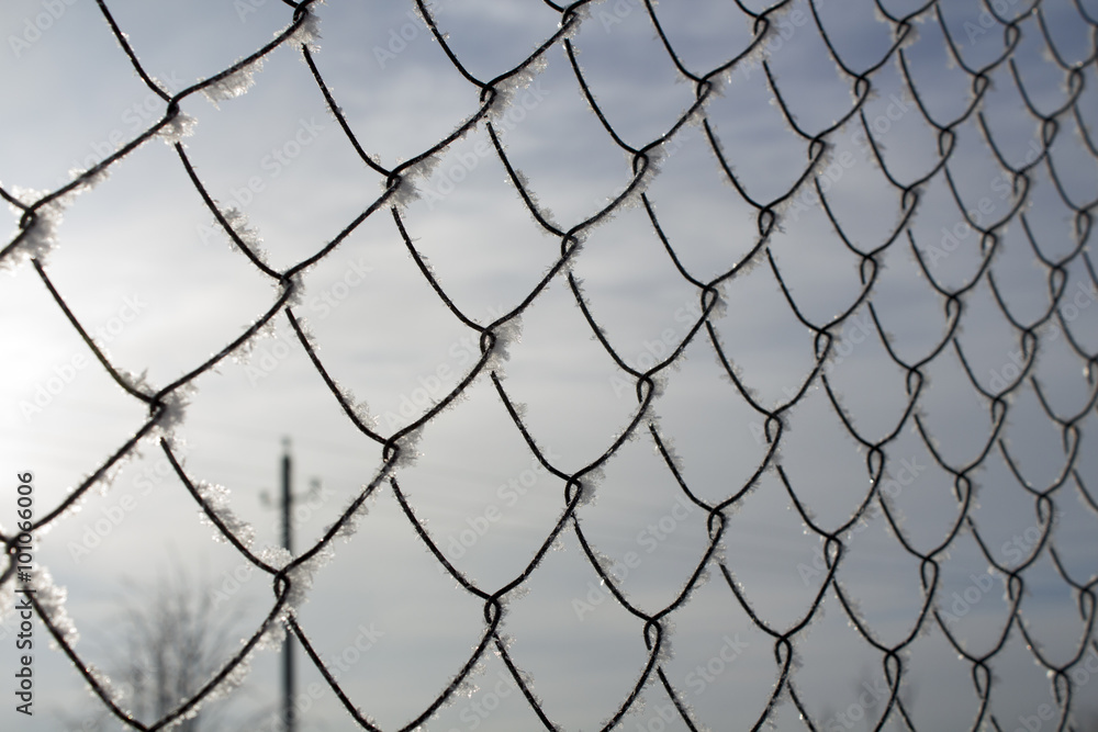 Rabitz wire netting covered with snow and ice Rabitz wire netting covered with snow and ice