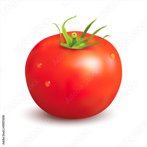 Ripe red tomato on white. Vector illustration.