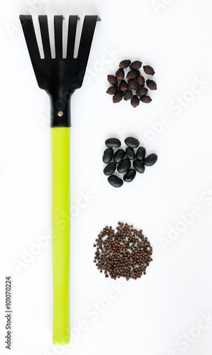 Three types of black seeds and a rake on a white background photo