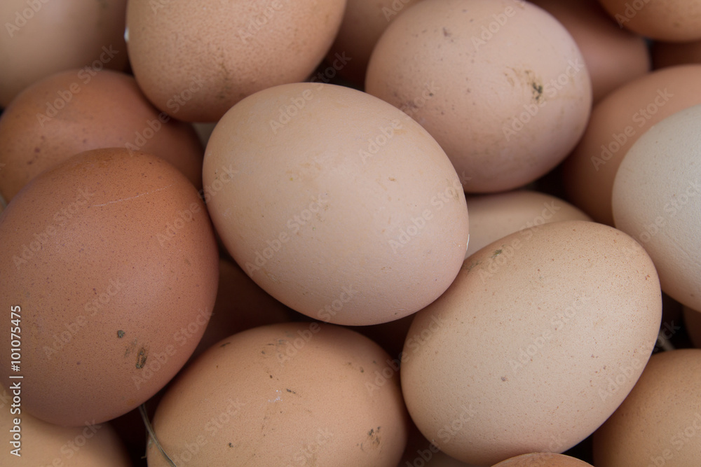 Egg Egg