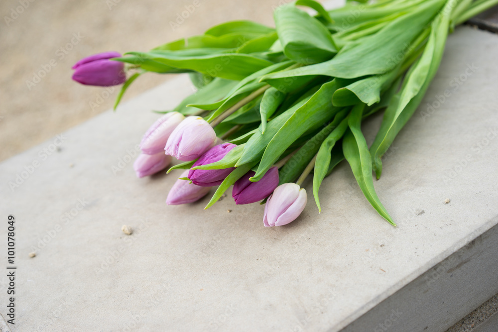 Tulpen Tulpen
