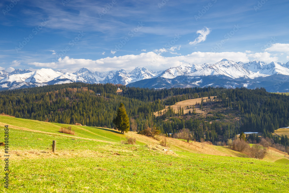 Panorama of the High Tatra Mountains, Gliczarow, Poland