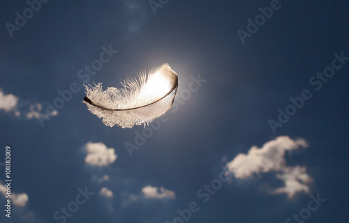 Lone feather int he sky. © kieferpix