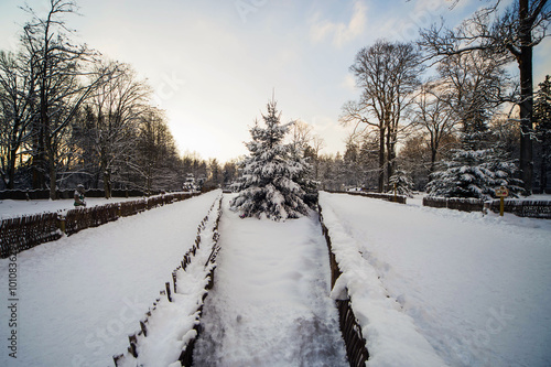 усадьба в зимнем лесу © bu_photo
