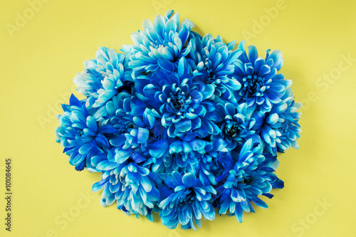 Bunch of blue flowers on a yellow background