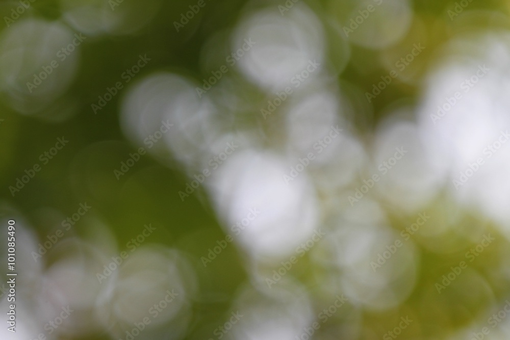 Obraz premium blurred background with natural bright green light