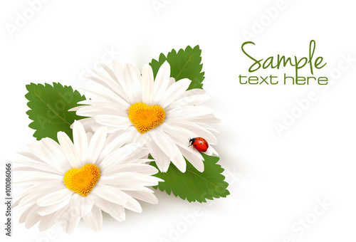 Valentine's Day background. Two daisies with hearts and leaves.