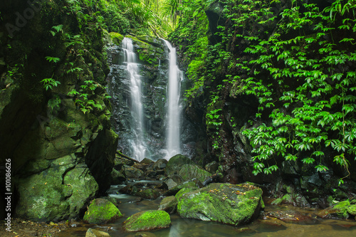 Waterfall in Lamington National Park in Queensland, Australia. photo