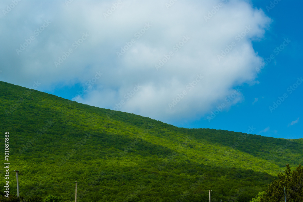 green hillside on a summer day