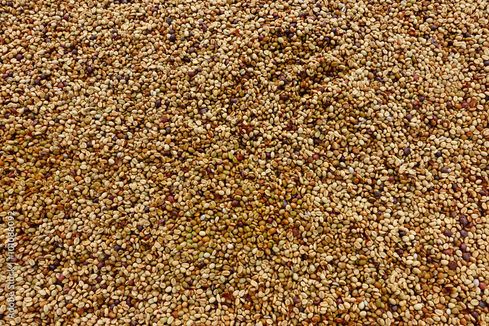 Coffee beans for backgrounds or textures Coffee beans for backgrounds or textures