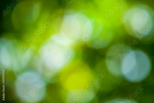 Abstract Nature green lights bokeh for background