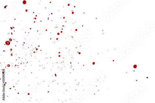 Splattered blood drops isolated on white background