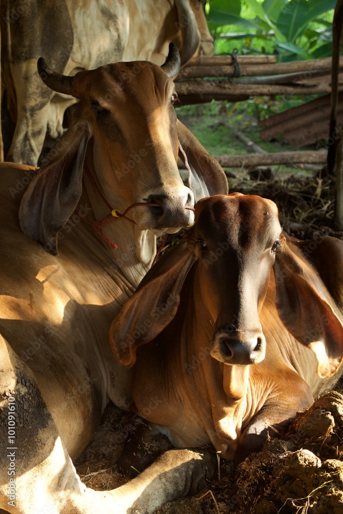 Obraz premium mom and son