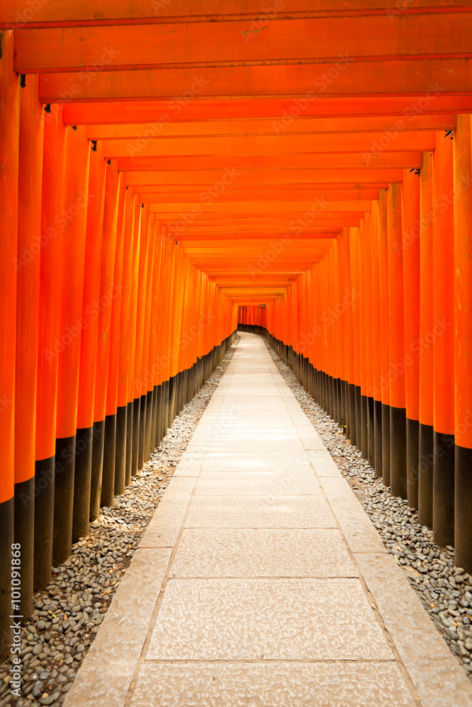 Fushimi Inari Shrine Nobody Centered Middle Torii
