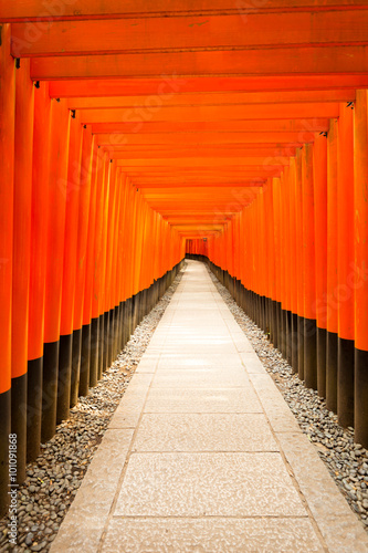 Fushimi Inari Shrine Nobody Centered Middle Torii