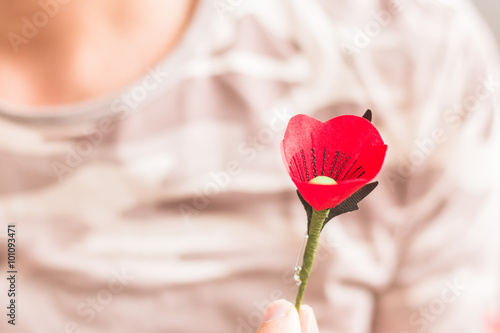 Fototapeta Naklejka Na Ścianę i Meble -  The red poppy is a symbol of Thailand Veterans Day
