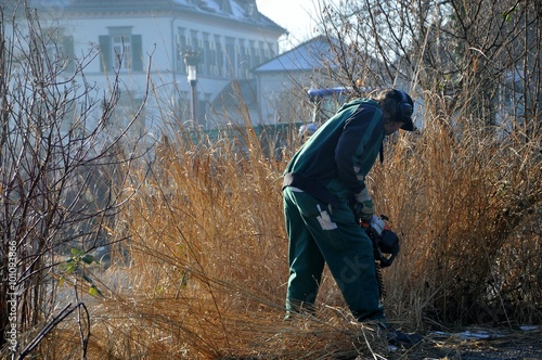 landscaping