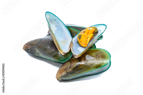 Close up of Asian green mussel isolated on White background