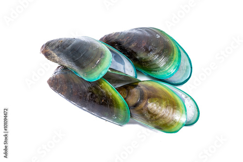 Close up of Asian green mussel isolated on White background