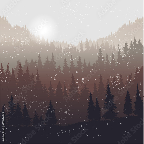 landscape with fir trees and snow