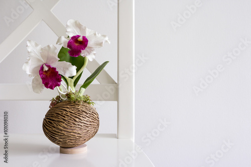 Fototapeta Naklejka Na Ścianę i Meble -  Cattleya orchid on white chair