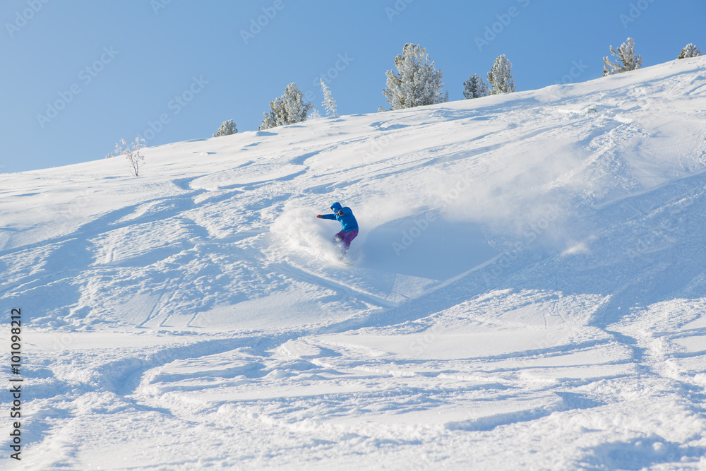 Snowboarder riding fresh snow